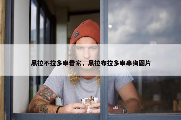 黑拉不拉多串看家，黑拉布拉多串串狗图片