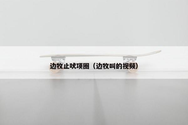 边牧止吠项圈（边牧叫的视频）