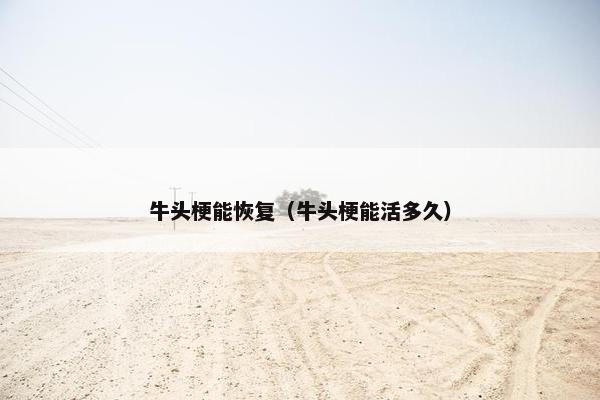 牛头梗能恢复（牛头梗能活多久）