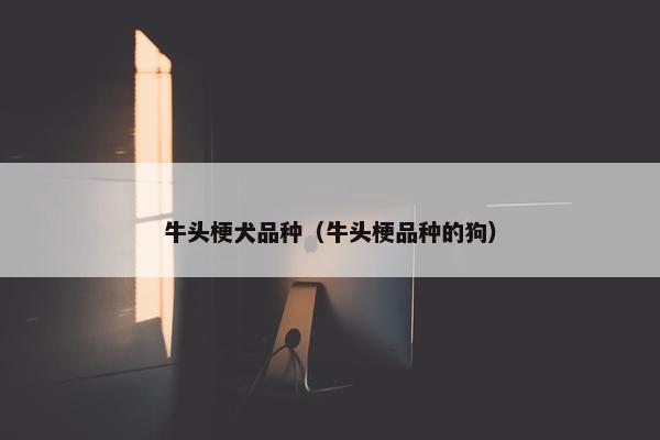 牛头梗犬品种（牛头梗品种的狗）