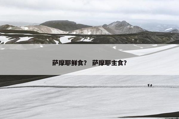 萨摩耶鲜食？ 萨摩耶主食？
