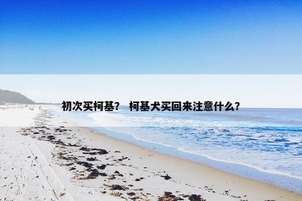 初次买柯基？ 柯基犬买回来注意什么？