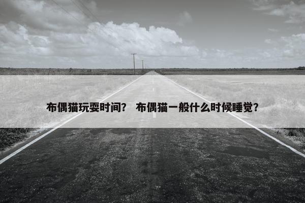 布偶猫玩耍时间？ 布偶猫一般什么时候睡觉？