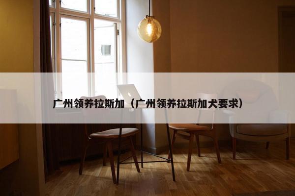广州领养拉斯加（广州领养拉斯加犬要求）