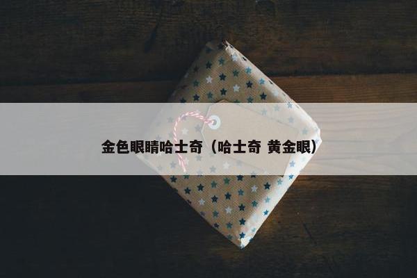 金色眼睛哈士奇（哈士奇 黄金眼）