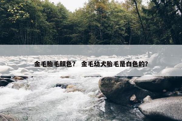 金毛胎毛颜色？ 金毛幼犬胎毛是白色的？