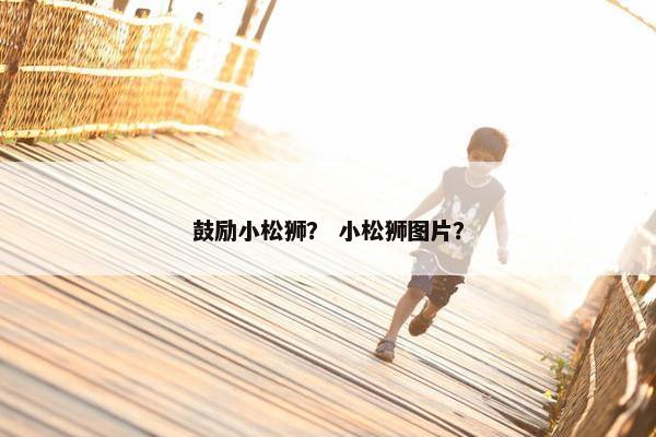 鼓励小松狮？ 小松狮图片？