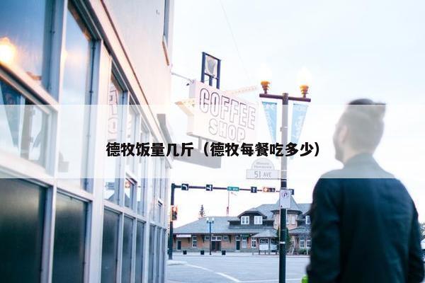 德牧饭量几斤（德牧每餐吃多少）