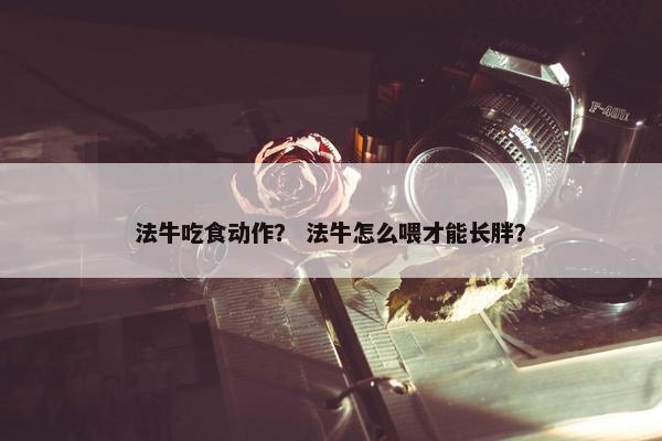 法牛吃食动作？ 法牛怎么喂才能长胖？