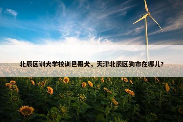 北辰区训犬学校训巴哥犬，天津北辰区狗市在哪儿?