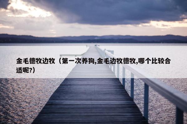 金毛德牧边牧（第一次养狗,金毛边牧德牧,哪个比较合适呢?）