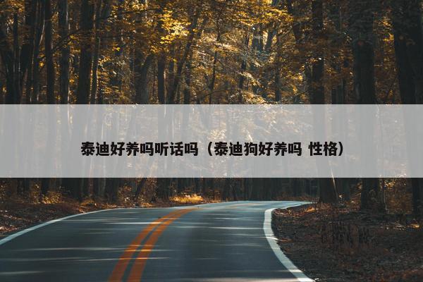 泰迪好养吗听话吗（泰迪狗好养吗 性格）