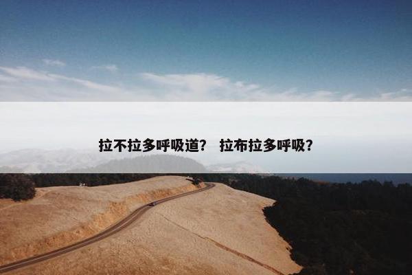 拉不拉多呼吸道？ 拉布拉多呼吸？