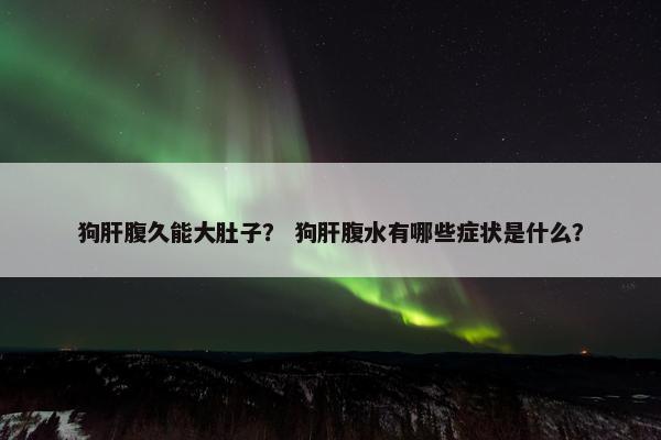 狗肝腹久能大肚子？ 狗肝腹水有哪些症状是什么？