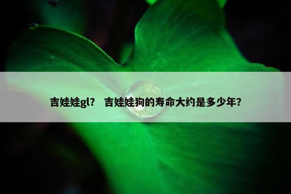 吉娃娃gl？ 吉娃娃狗的寿命大约是多少年？