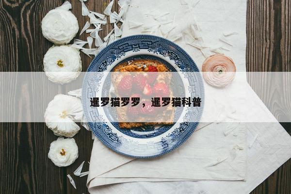 暹罗猫罗罗，暹罗猫科普