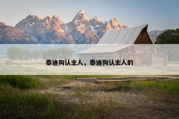 泰迪狗认主人，泰迪狗认主人的