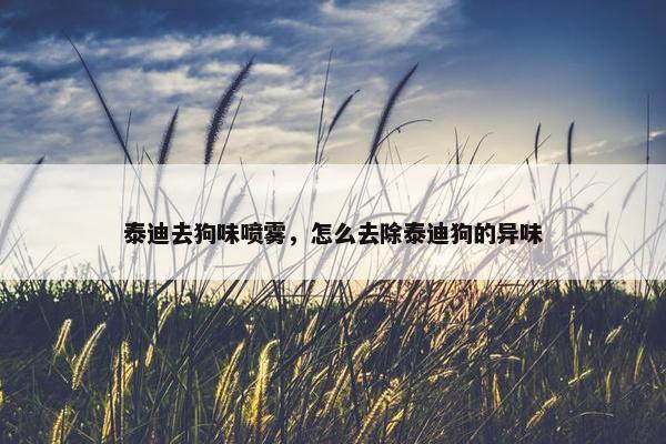 泰迪去狗味喷雾，怎么去除泰迪狗的异味