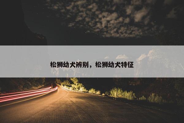 松狮幼犬辨别，松狮幼犬特征