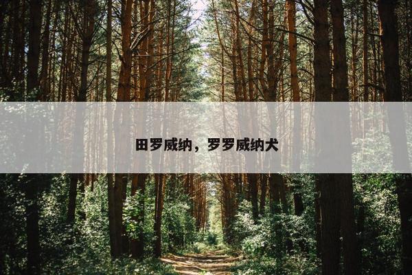 田罗威纳，罗罗威纳犬