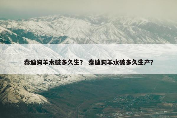 泰迪狗羊水破多久生？ 泰迪狗羊水破多久生产？