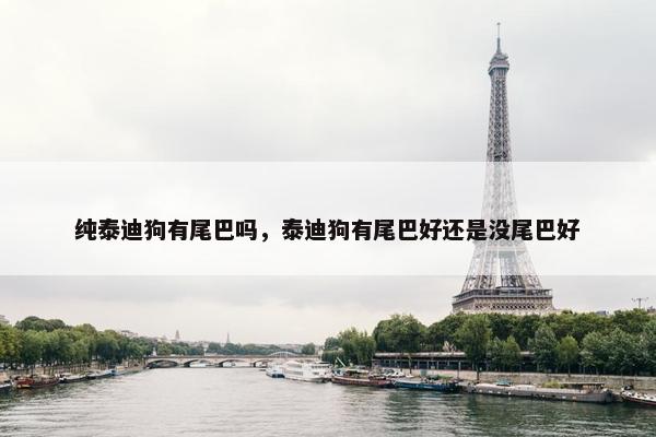 纯泰迪狗有尾巴吗，泰迪狗有尾巴好还是没尾巴好