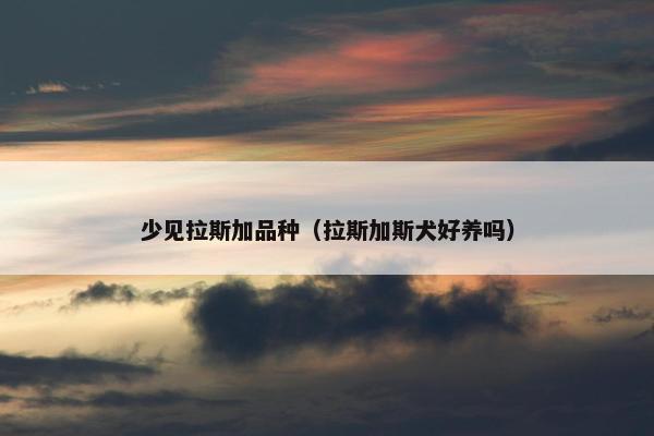 少见拉斯加品种（拉斯加斯犬好养吗）
