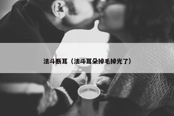 法斗断耳（法斗耳朵掉毛掉光了）