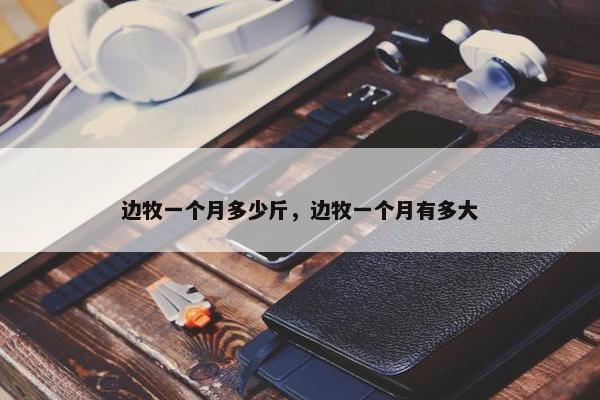 边牧一个月多少斤，边牧一个月有多大