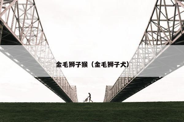 金毛狮子猴（金毛狮子犬）