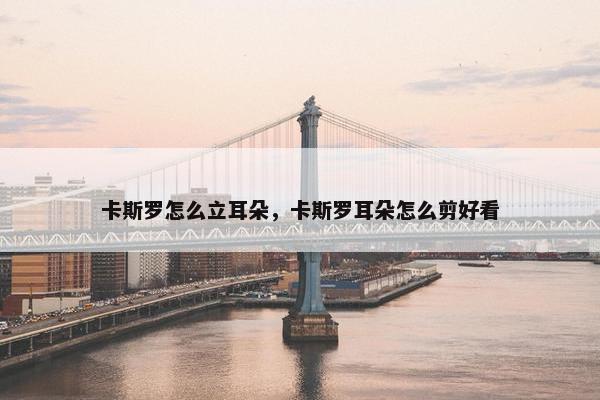 卡斯罗怎么立耳朵，卡斯罗耳朵怎么剪好看