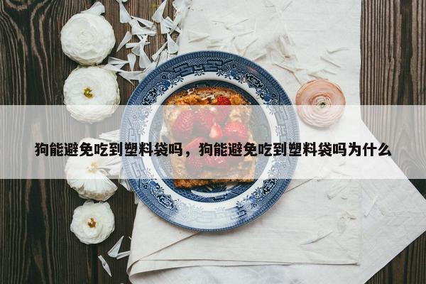 狗能避免吃到塑料袋吗，狗能避免吃到塑料袋吗为什么