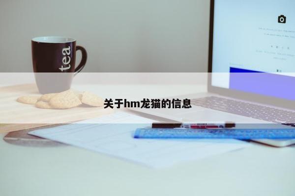 关于hm龙猫的信息
