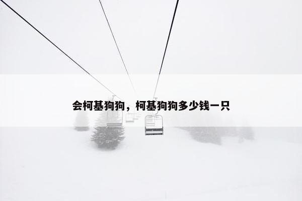 会柯基狗狗，柯基狗狗多少钱一只