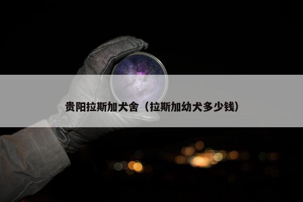 贵阳拉斯加犬舍（拉斯加幼犬多少钱）
