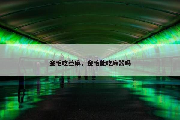 金毛吃苎麻，金毛能吃麻酱吗