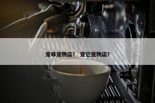 宠哆宠物店？ 宠它宠物店？