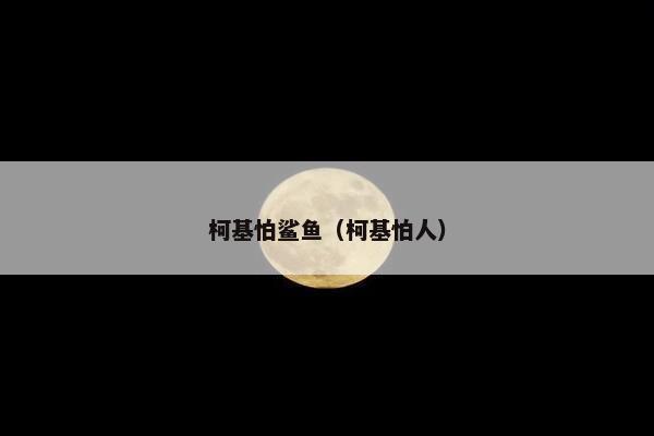 柯基怕鲨鱼（柯基怕人）