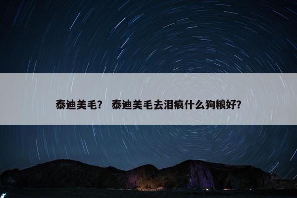 泰迪美毛？ 泰迪美毛去泪痕什么狗粮好？