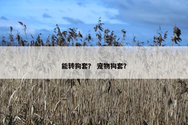 能转狗套？ 宠物狗套？