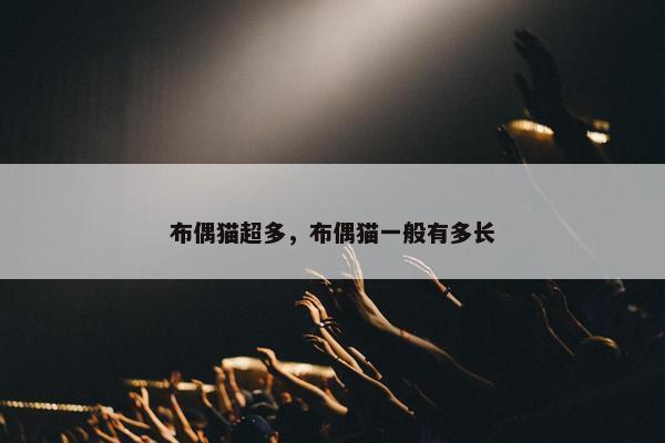 布偶猫超多，布偶猫一般有多长