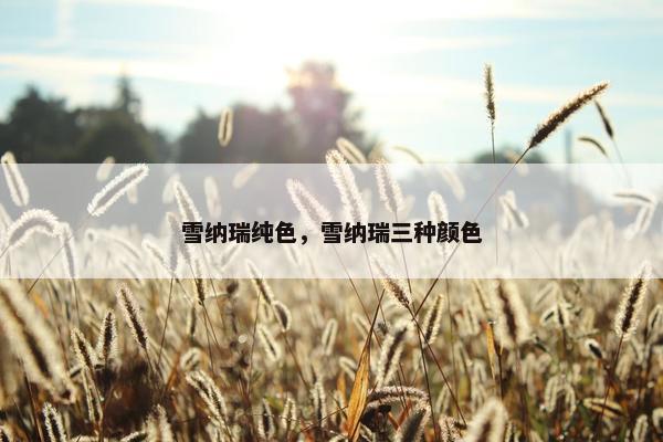 雪纳瑞纯色，雪纳瑞三种颜色