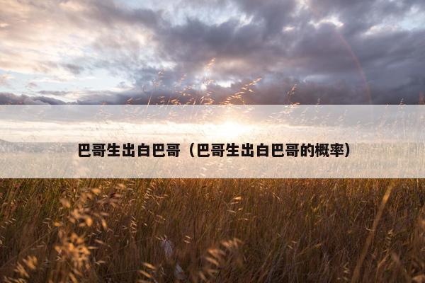 巴哥生出白巴哥（巴哥生出白巴哥的概率）