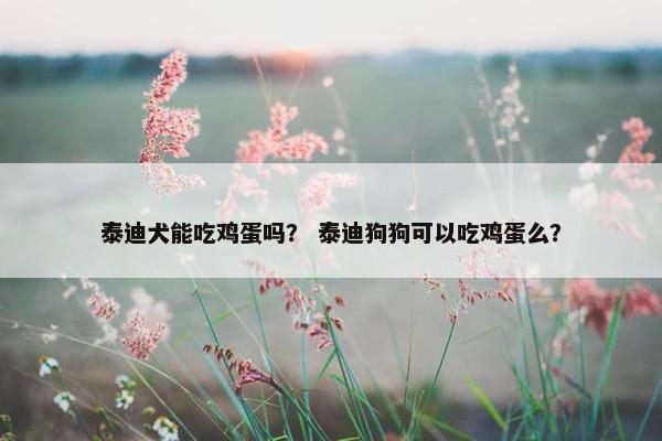泰迪犬能吃鸡蛋吗？ 泰迪狗狗可以吃鸡蛋么？