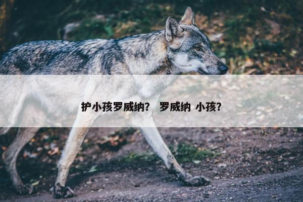 护小孩罗威纳？ 罗威纳 小孩？