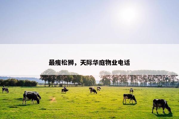 最瘦松狮，天际华庭物业电话