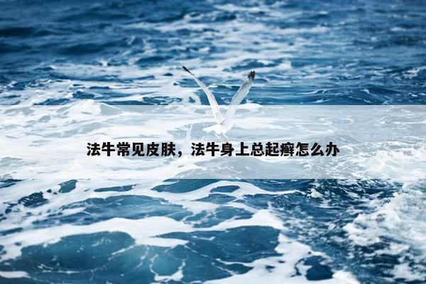 法牛常见皮肤，法牛身上总起癣怎么办