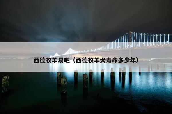 西德牧羊易吧（西德牧羊犬寿命多少年）
