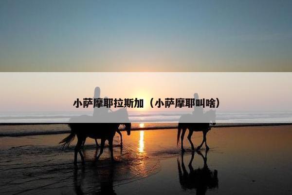 小萨摩耶拉斯加（小萨摩耶叫啥）