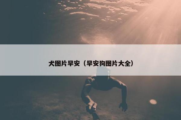犬图片早安（早安狗图片大全）